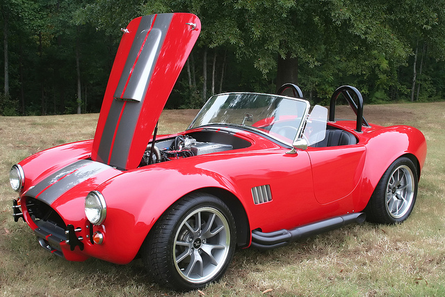 cobra