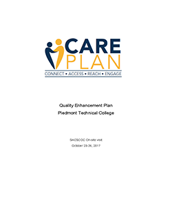 The Care Plan 2017