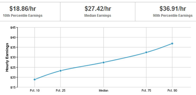 mechatronics earnings