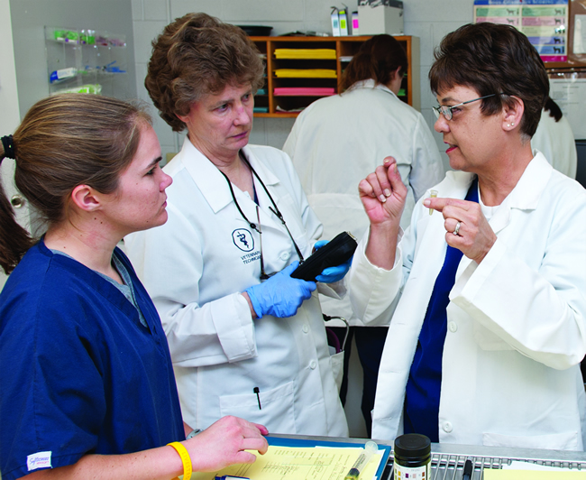 vet tech instruction