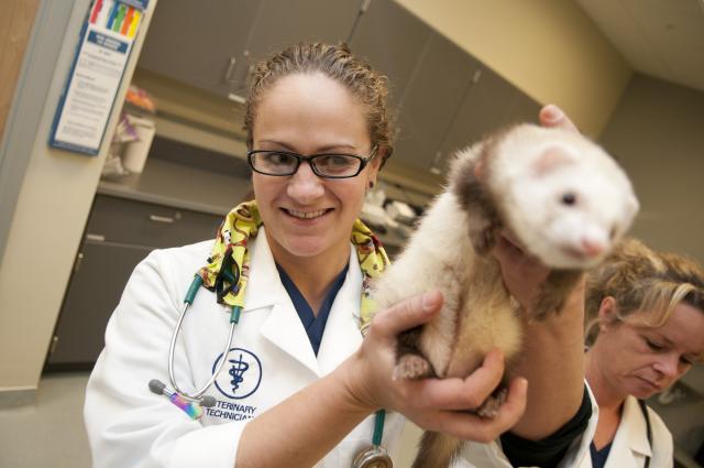 Veterinary Technology Piedmont Technical College