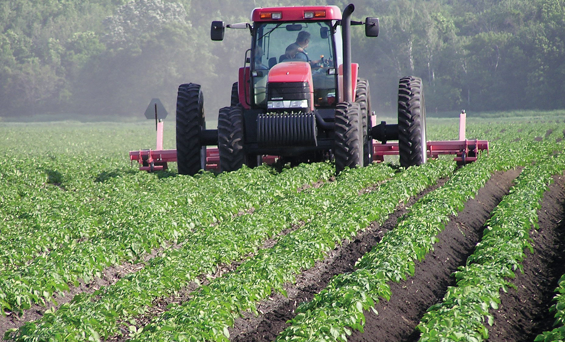 Red tractor working in a field 