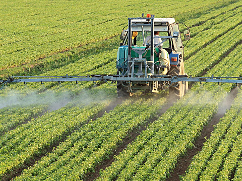 Tractor spraying a field