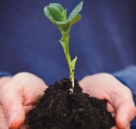 horticulture