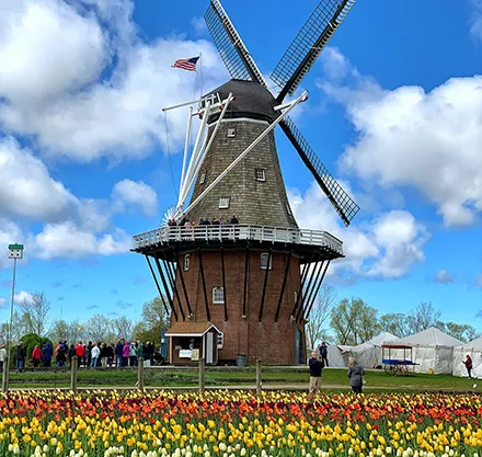 Holland, tulips, travel