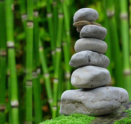 PTC Massage Therapy Clinic to Open May 24