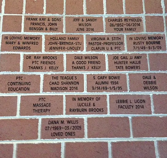 Abbeville Bricks